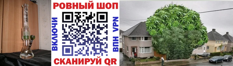 Виды наркоты Северская Гашиш  Alpha-PVP  МЕФ  Каннабис 